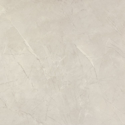 NG Pulpis Prime Light Grey Matte 48 x 48