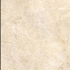 Astrum Ivory Grip 11